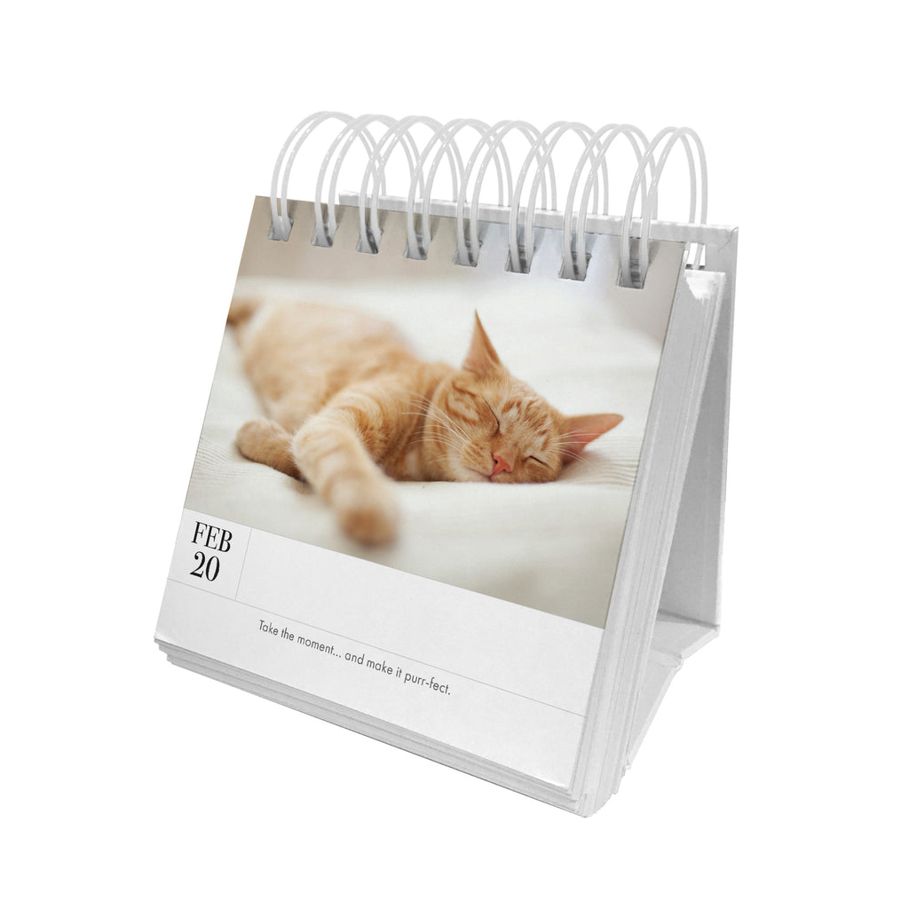 Animal 365 Calendar - Puppy
