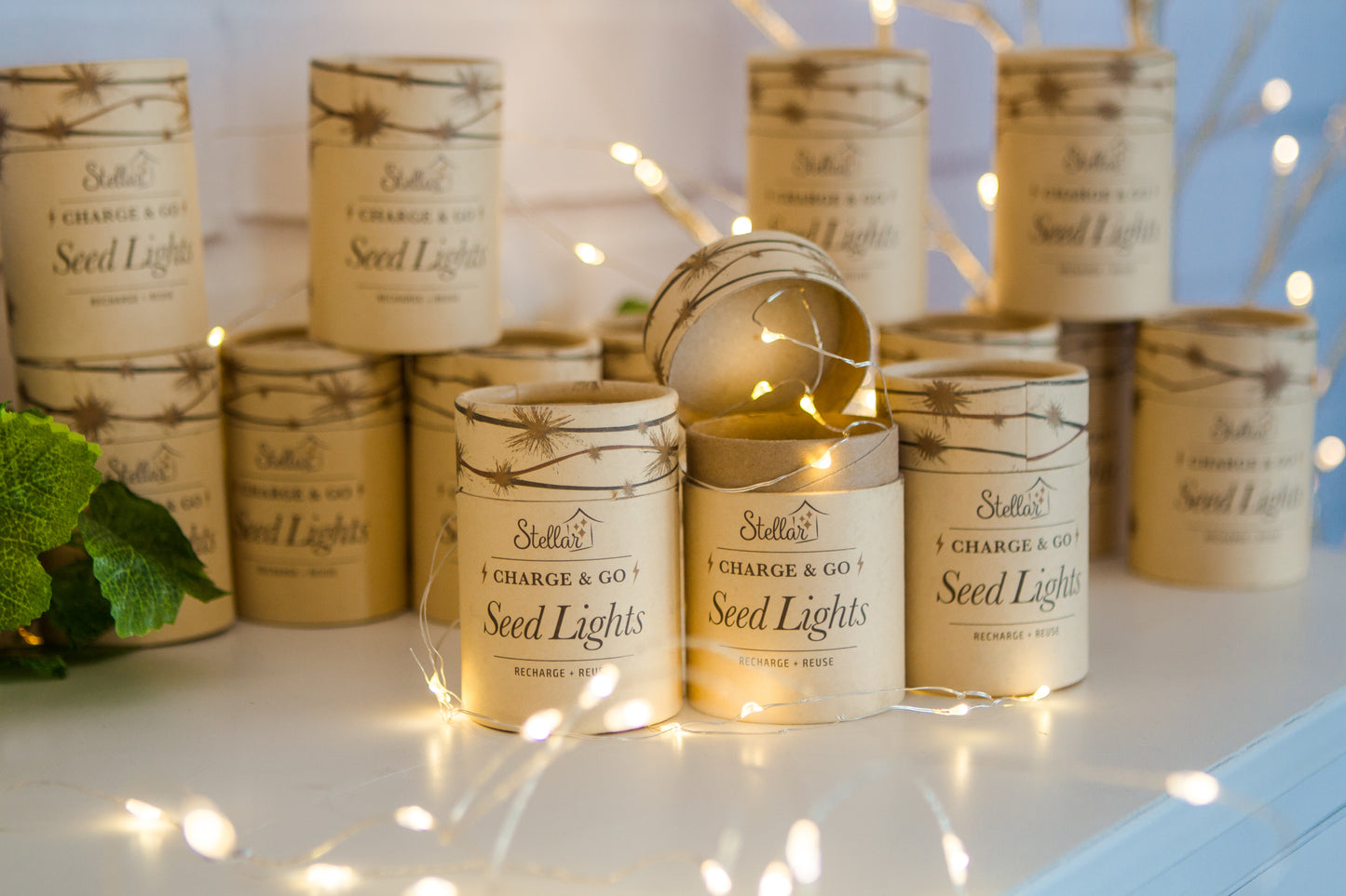 Charge & Go Seed lights - Stellar