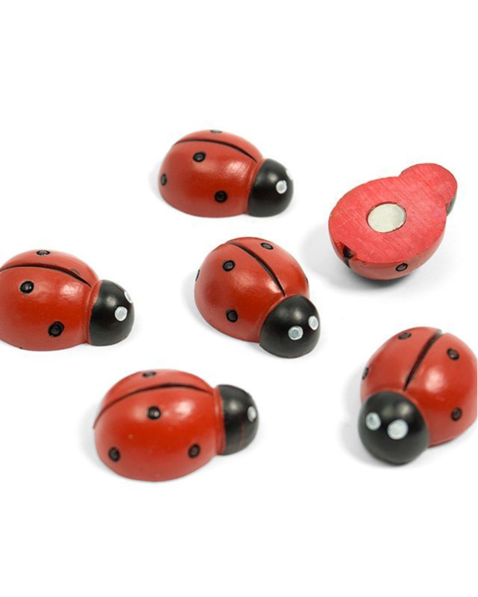 Trendform Ladybug Magnets | 6 Pack