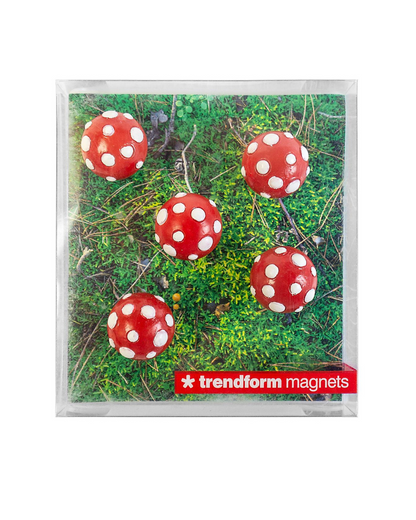 Trendform Toadstool Magnets 5 pack