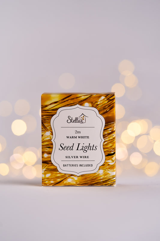 Seed Lights Silver Wire