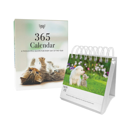 Animal 365 Calendar - Kitten